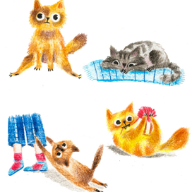 Котиков много не бывает!