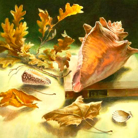 Натюрморт с раковиной