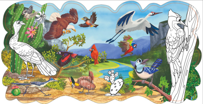 Птицы Северной Америки