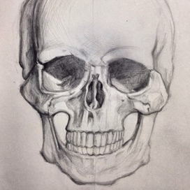 Череп (очевидно)