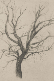 сухое дерево