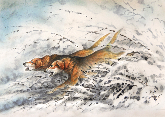 Гончие собаки. Русская гончая.