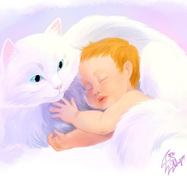 Белая кошка