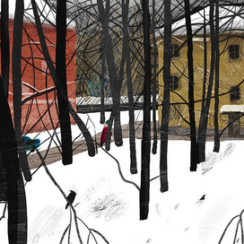 Вид из моего окна