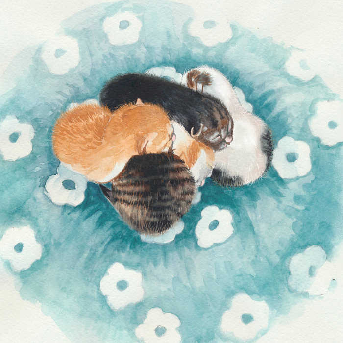 спят усталые котята.