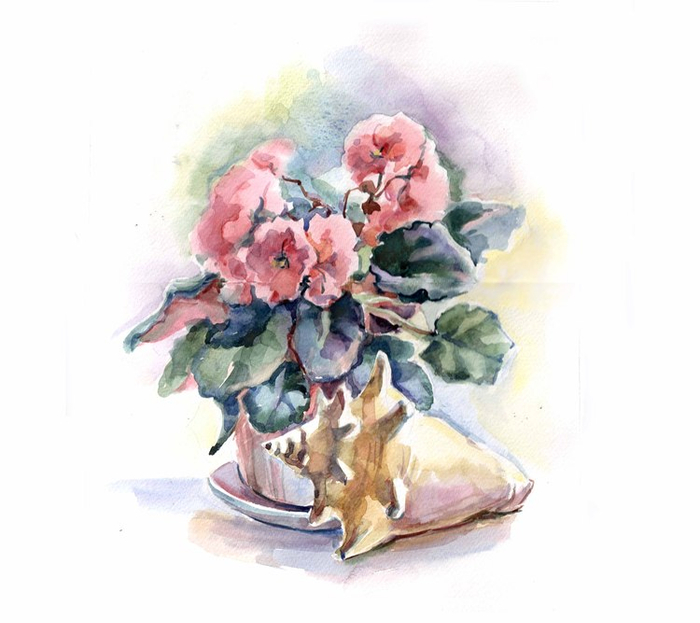 опять фиалка :)