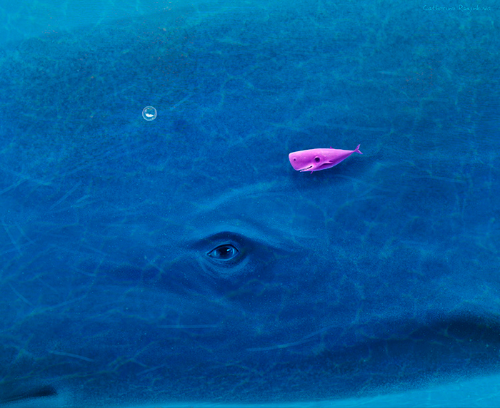 "Влюбленный кит"