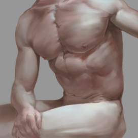 анатомия с рефа