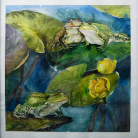 Фимины лягушки