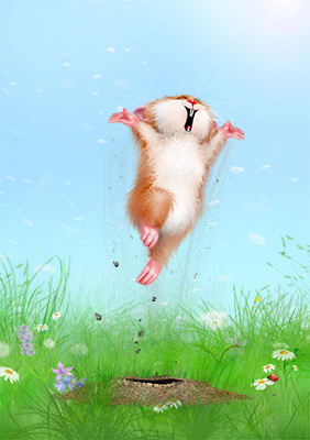 Радость Хомы