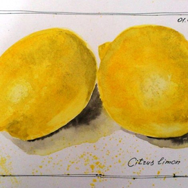 Лимоны