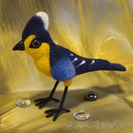 Тайваньская  синичка.