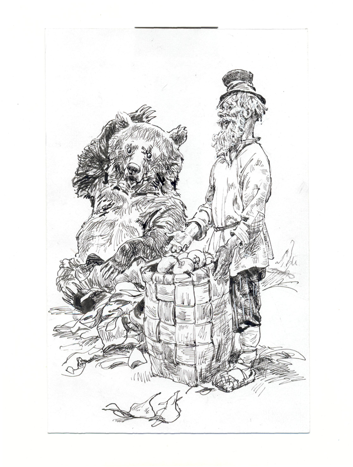 Иллюстрация . Медведь