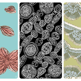 (без названия)