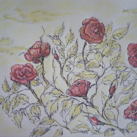 Золотой вечер