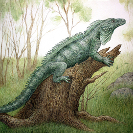 Апполинарий