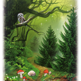 Волшебные тайны ночного леса