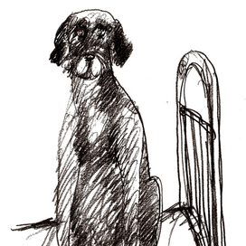 книга о дратхаарах