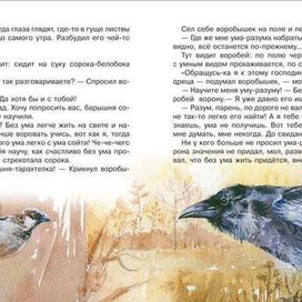 Серия времена года : Осень