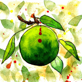 Лаймовое настроение