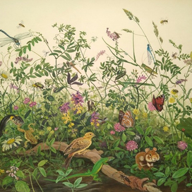 илл. из книги "На поиски животных" (Среди полевых трав)