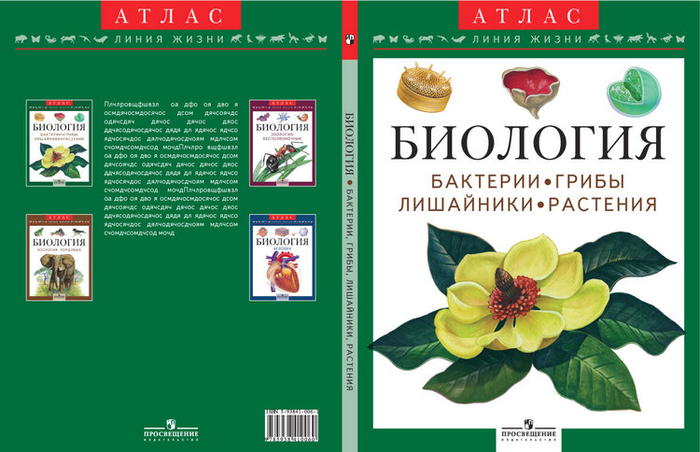 рисунок для обложки атласа