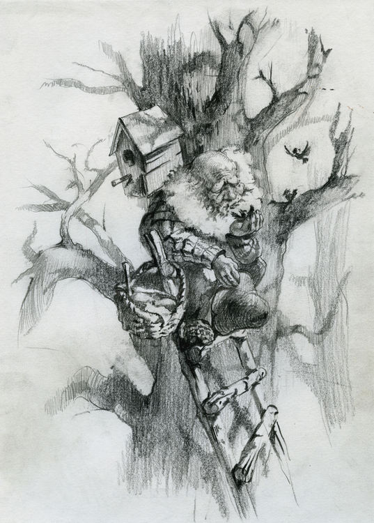 Серия "Лесной Дед-Берендей" Лист 1