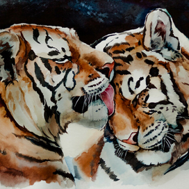 Тигриная любовь