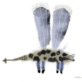 Пятнистый вертокрыл)