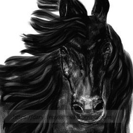 Вороной конь