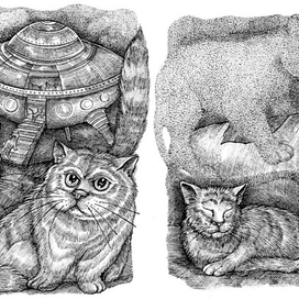 Космические коты