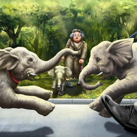 городская фауна 5