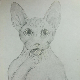 Ничего лишнего