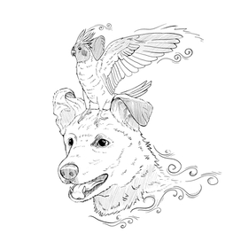 Иллюстрация для рассказа #2