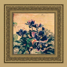 Мои любимые фиалки