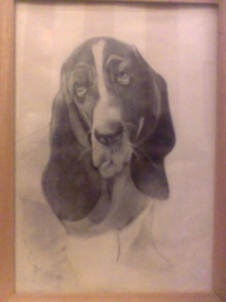 пёсик с грустными глазами