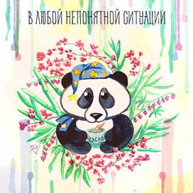 В любой непонятной ситуации..