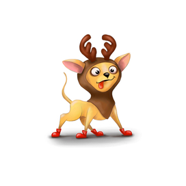 Забавный чихуа-хуа