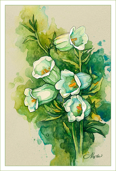 Колокольчики