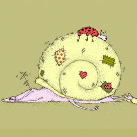 На одной волне