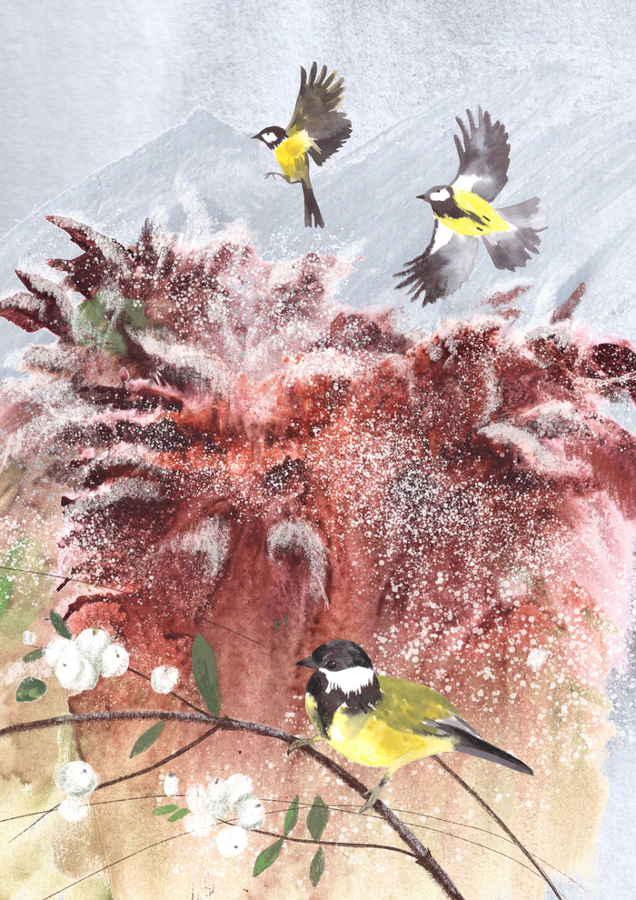 "Первый снег. Рассказы о природе"