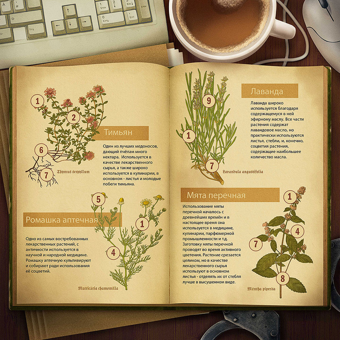 Справочник травника.