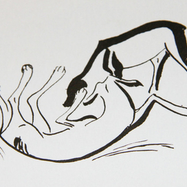 книга о собаках