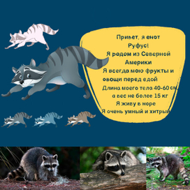 Карточки для Зоопарка