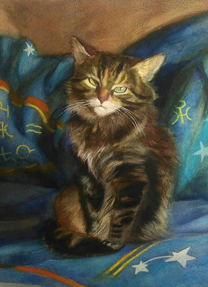 Местный гравитационный авторитет (2.0)