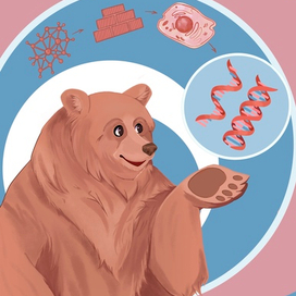  Медведь и Дракон изучают биологию