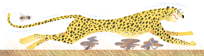 Суперзверята. Супербыстрый гепард