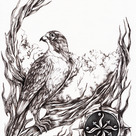 Просто Сокол