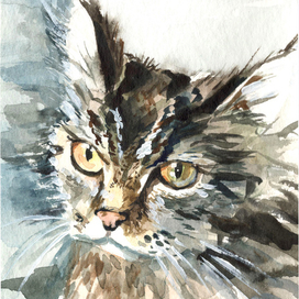 портрет кошки