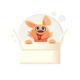 собака в коробке